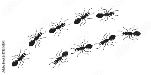 Ant line trail, small pest chain, black insect marching, animal colony, black silhouettes bug top view isolated on white background. Vector illustration