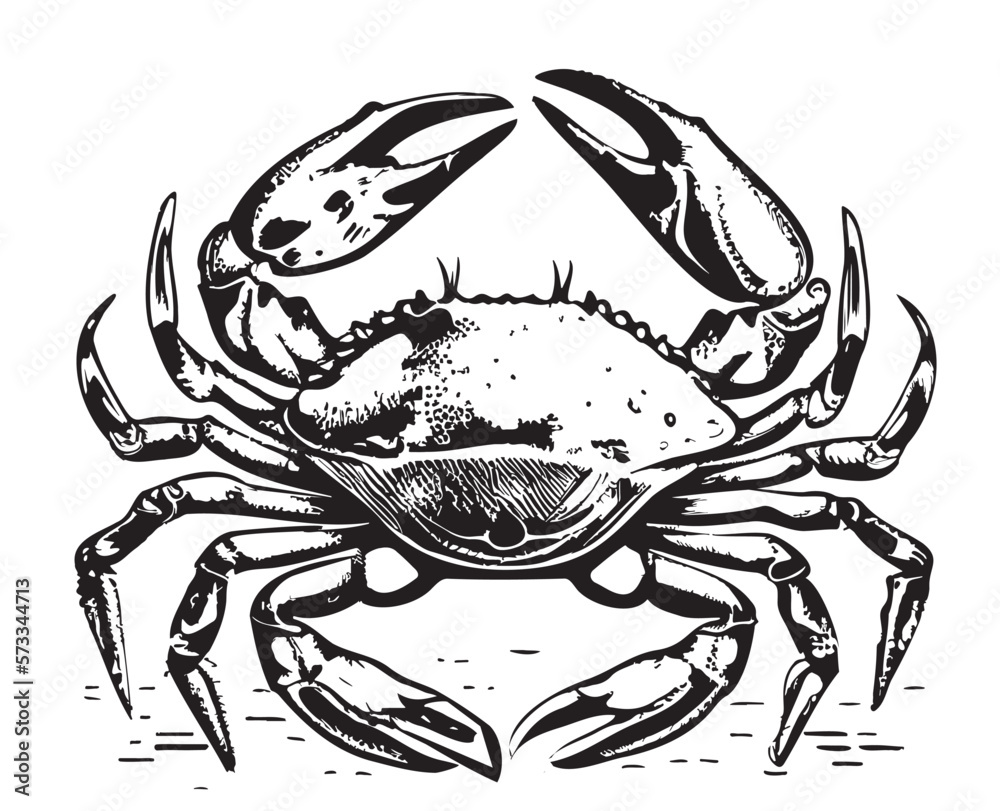 Crab sea hand drawn sketch Vector illustration animals Stock Vector ...