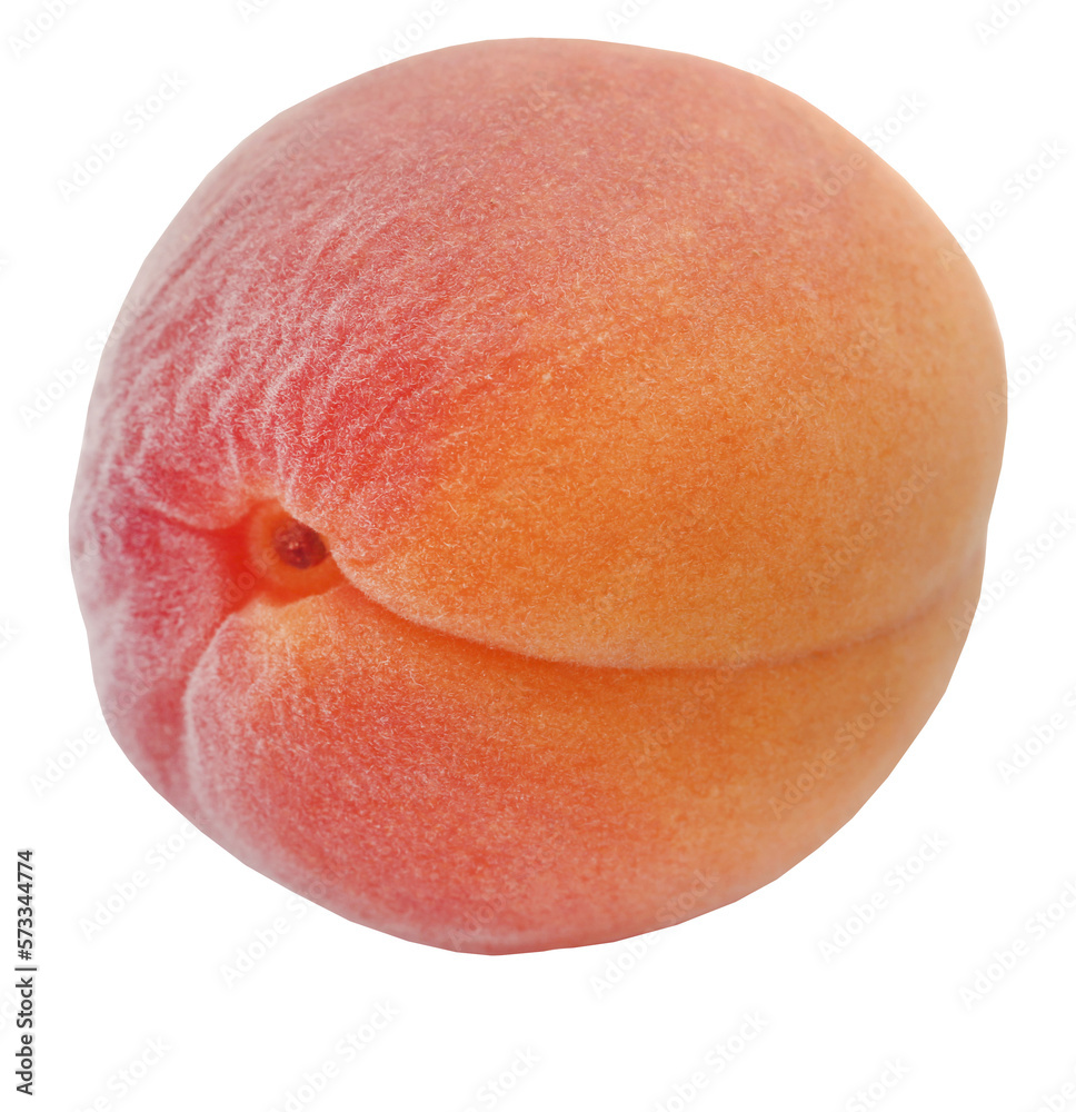 Fototapeta premium Fresh apricot