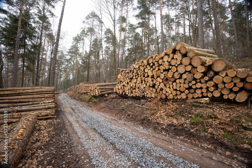 stacks of woodpiles along a path