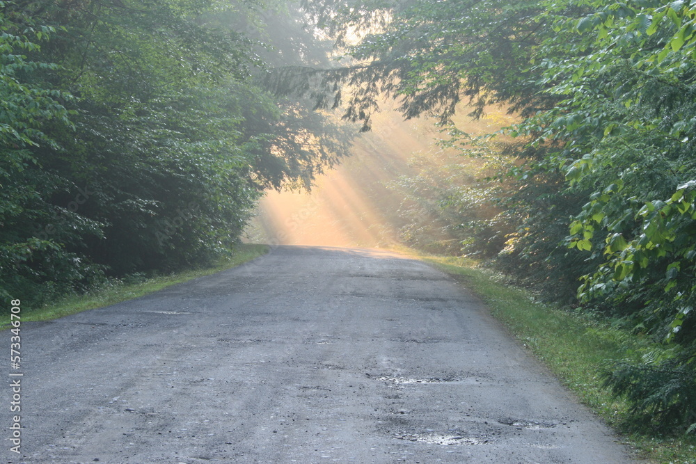 Lighted path
