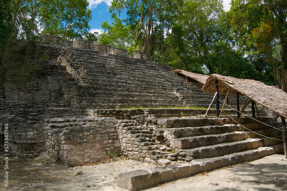 Fototapeta premium Dzibanché means “writing on wood” This name comes from large wooden lintel contained in the Temple of the Lintels that has eight glyphs carved into the quebracho wood. Quintana Roo , Mexico 11 02 2022