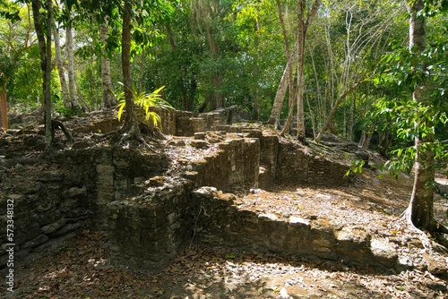 Dzibanché means “writing on wood” This name comes from large wooden lintel contained in the Temple of the Lintels that has eight glyphs carved into the quebracho wood. Quintana Roo , Mexico 11 02 2022