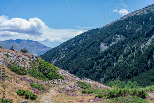 Pyrenees mountains landscape in spring