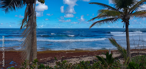 Bathsheba beach Barbados, Atlantic Ocean sea, big white breakers, turquoise sea, white sand and palm trees