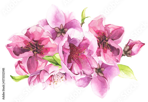 Pink cherry blossoms and leaves bouquet. Watercolor painted floral arrangement. Cut out hand drawn PNG illustration on transparent background. Isolated clipart.