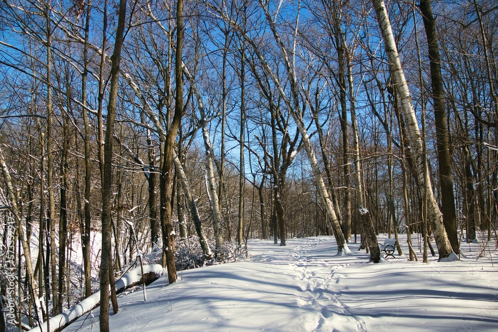 Under a clear blue Winter sky, fresh snow covers a hiking trail and forest landscape at Wehr Nature Center in Franklin, WI.