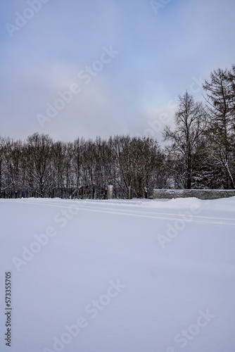 Snowy landscape during winter time with ground covered with white fresh snow. Trees on the back. Tallinn, Estonia, Europe. February 2023