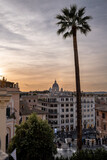 Wonderful sunset in Rome with a palm tree
