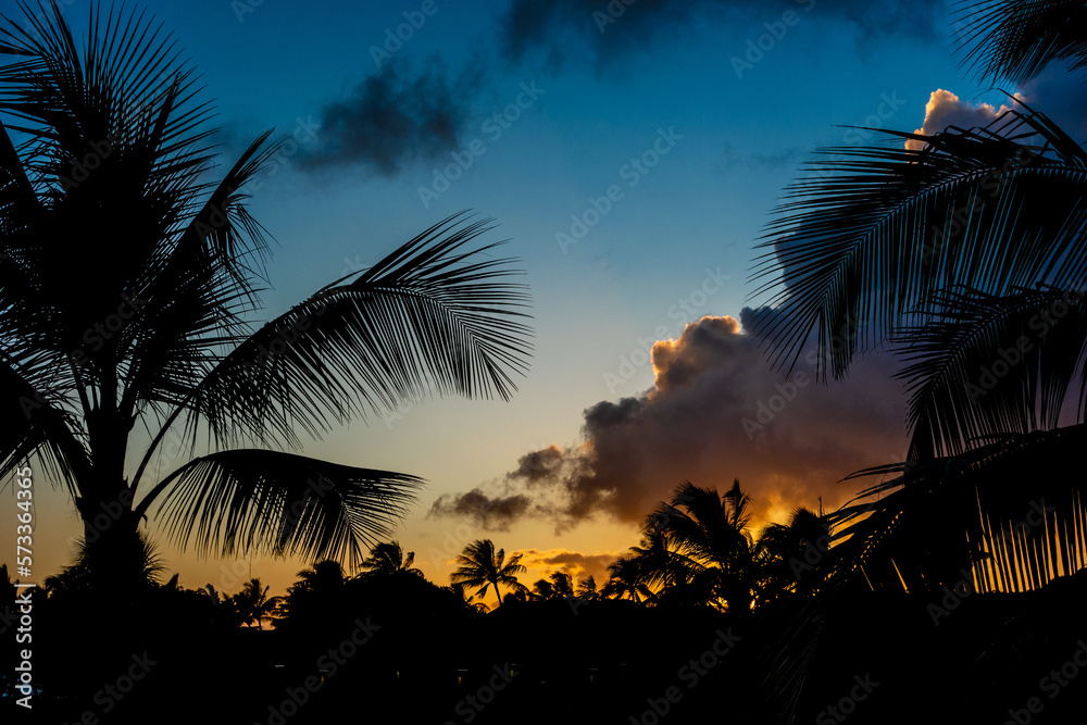 Obraz premium Beautiful Ocean Sunset