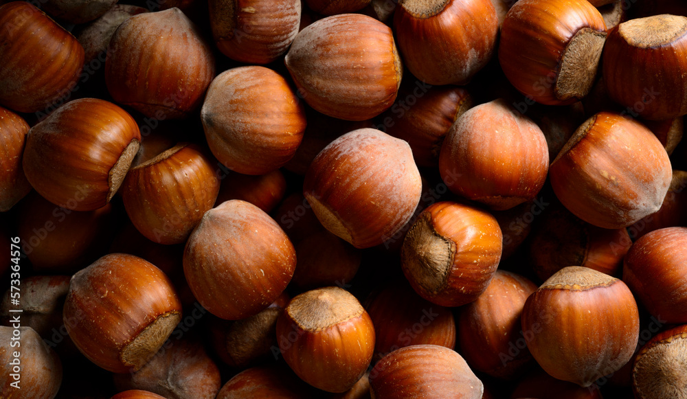 delicious hazelnuts.beautiful hazelnuts closeup for banner background.food products diet concept delicious hazelnuts.beautiful hazelnuts closeup for banner background.food products diet concept