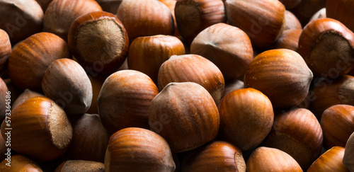 delicious hazelnuts.beautiful hazelnuts closeup for banner background.food products diet concept