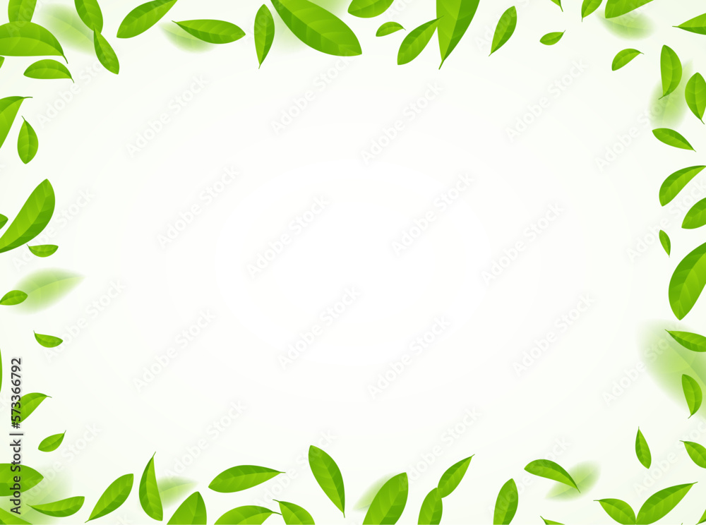 Green tea vector background mint eco illustration. Organic green tea flying leaf fresh concept Green tea vector background mint eco illustration. Organic green tea flying leaf fresh concept