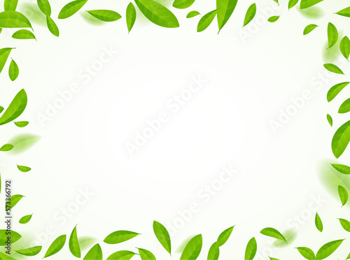 Green tea vector background mint eco illustration. Organic green tea flying leaf fresh concept