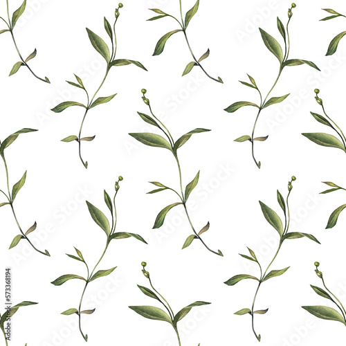 Seamless pattern with watercolor and digital green grass and leaves on white background. Hand-drawn bush with bud. Wallpaper for invite card  wedding celebration and sticker. Art for wrapping