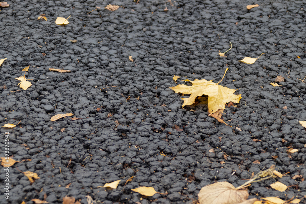 autumn fallen leaves lying on the pavement autumn fallen leaves lying on the pavement