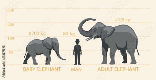 Comparing elephants to humans. Child and adult animal next to human silhouette, height and weight assessment, analysis. Biology and zoology. Safari and wildlife. Cartoon flat vector illustration