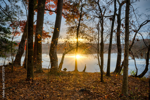 Fototapeta Naklejka Na Ścianę i Meble -  A dramatic sunset shining through trees in the forest at Lake Benson Park in Garner, North Carolina.