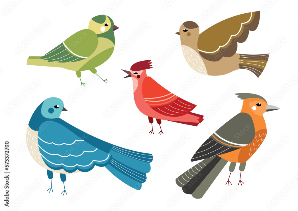 Obraz premium Set of birds. Collection of colorful little animals with feathers and wings. Ornithology and zoology, fauna and wild life, biology. Cartoon flat vector illustrations isolated on white background