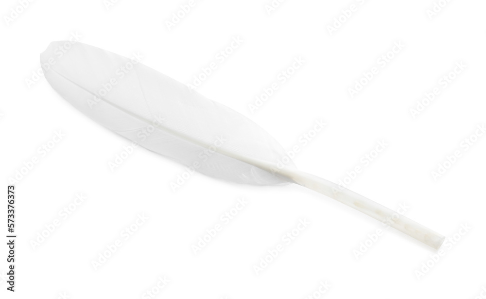 Beautiful fluffy bird feather isolated on white, top view Beautiful fluffy bird feather isolated on white, top view