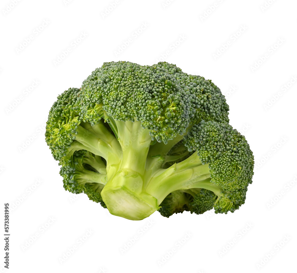Broccoli on transparent png Broccoli on transparent png
