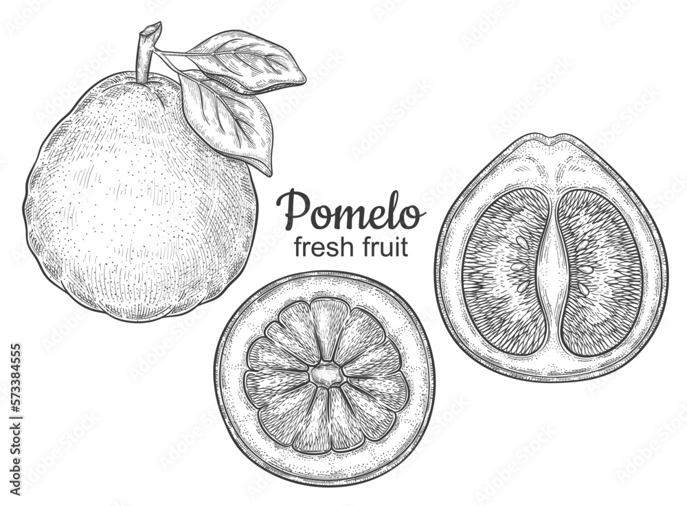 Pomelo grapefruit citrus juicy fruit, green exotic lemon botanical