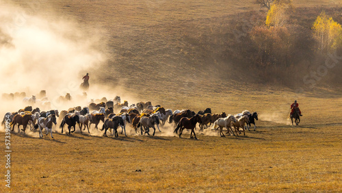 Horses Running Down the Hill