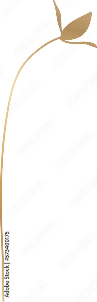 Luxury wedding flower Luxury wedding flower