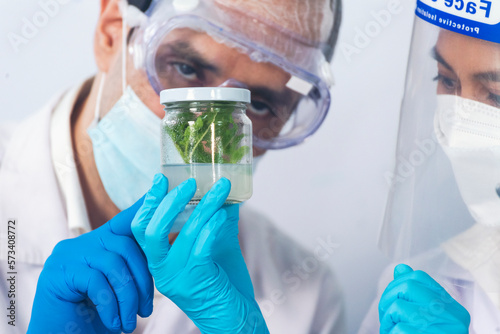 Scientist teams consult together with biochemistry plants tissue culture biotechnology science. Biotech Laboratory teamwork man and woman discuss look at Glass Petri Dish,  plants tissue culture jar photo