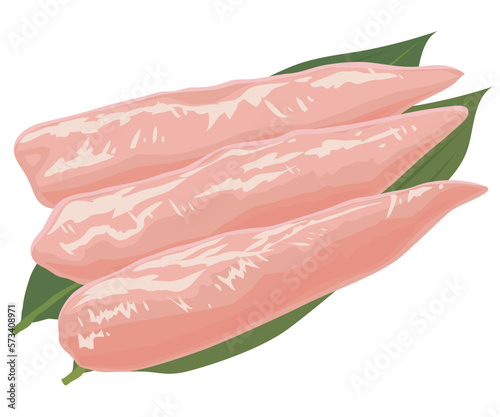鶏のささみ