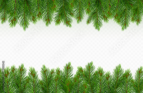 Pine tree branch border realistic vector illustration. Fir twigs with green needles, frame isolated on transparent background. Winter holiday evergreen decoration, spruce or cedar elements