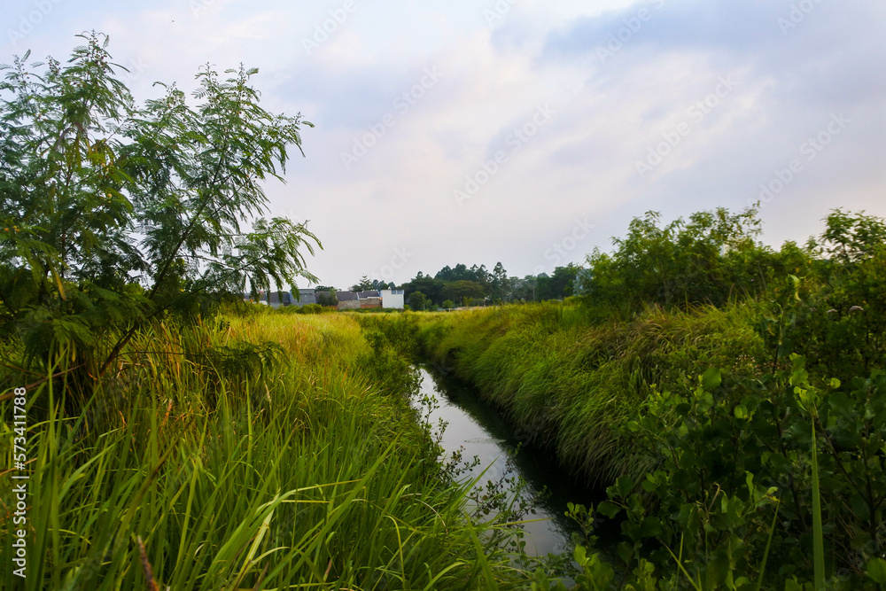 small hidden creek in the middle of lush calm grassland small hidden creek in the middle of lush calm grassland