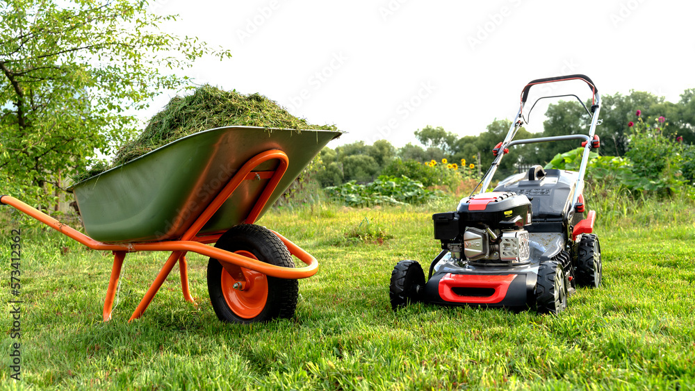 Fototapeta premium Lawn mover on green grass in modern garden. Machine for cutting lawns.
