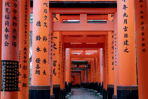 Photography Line of orange red torii gates with traditional Japanese writing  at the Fushimi