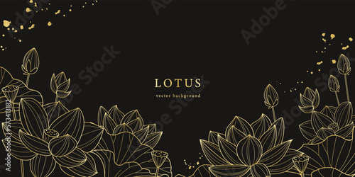 線画で描いた蓮のベクターイラスト背景