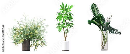 decorative flowers and plants for the interior  isolated on white background  3D illustration  cg render