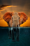 Elephant in the water. Surreal concept art