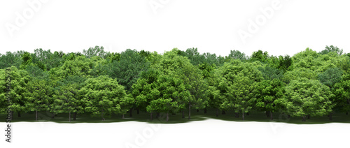forest line with shadows under the trees, isolated on transparent background, 3D illustration, cg render © vadim_fl