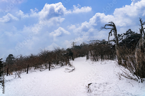 The path on hill of Taebaeksan national park-Taebaeck, Gangwondo, Korea