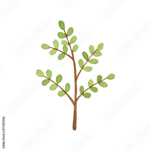 Watercolor green branch. Hand drawn illustration.