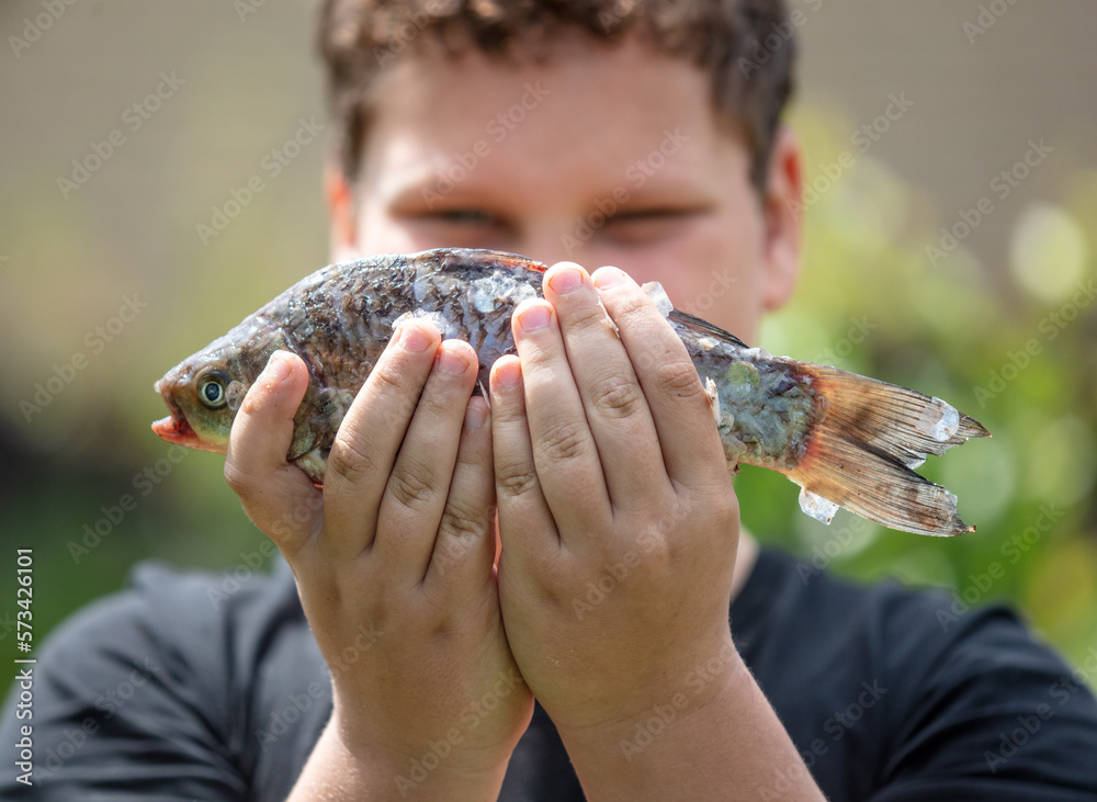 Carp fish in hands in nature. Close-up
