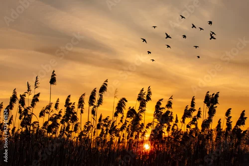 Obraz Zachód słońca 