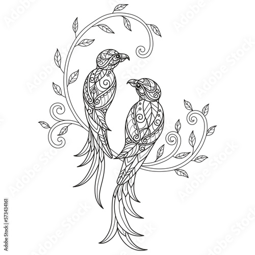 Birds and ivy hand drawn for adult coloring book
