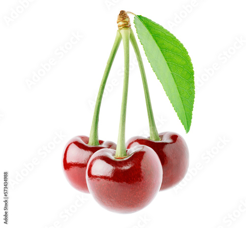 three cherries with a green leaf on a white background
