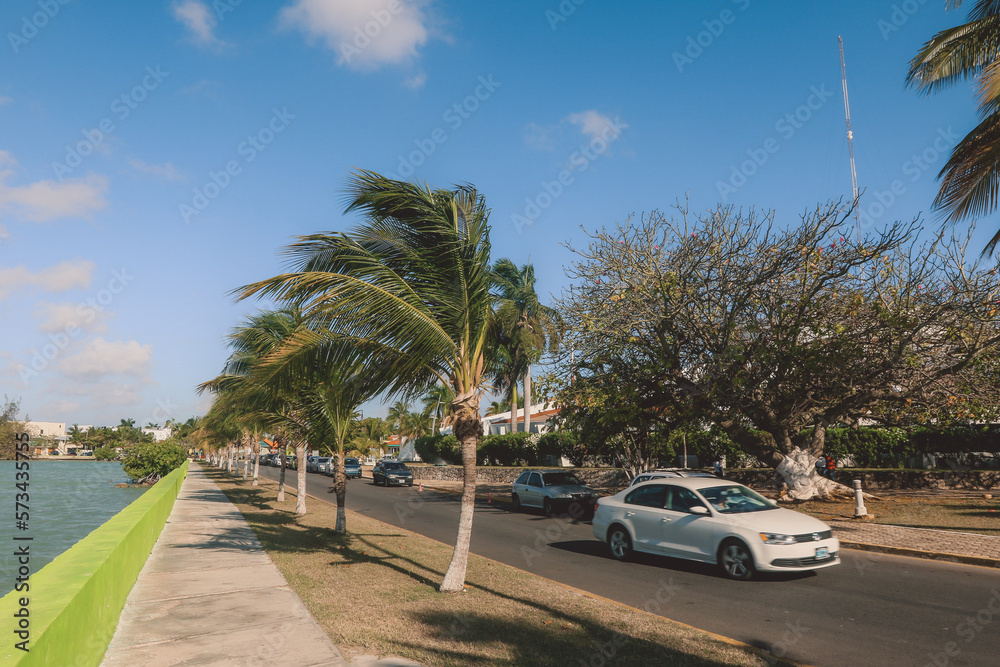 Seaside Road with Palm Trees in the city center of Chetumal, Mexico