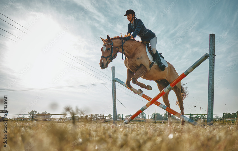 Training, jump and woman on a horse for a course, event or show on a field in Norway. Equestrian, jumping and girl doing a horseback riding obstacle during a jockey race, hobby or sport in nature - obrazy, fototapety, plakaty 