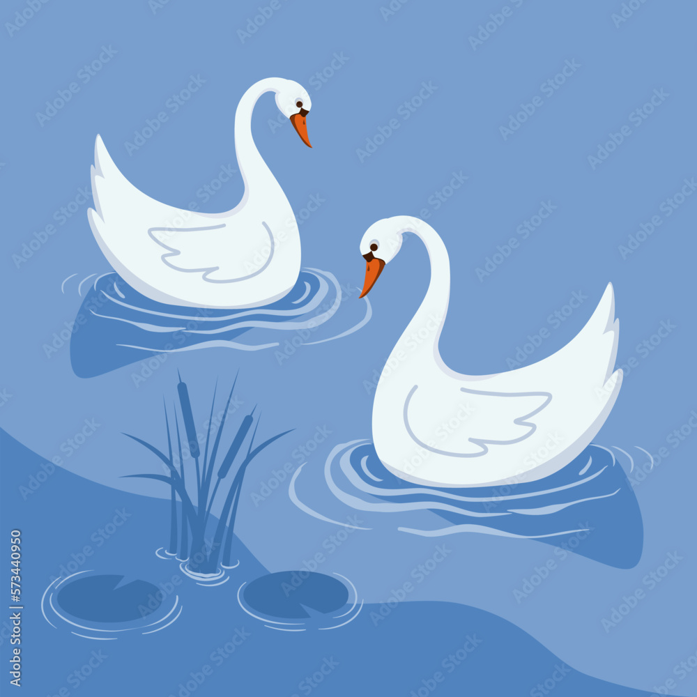 Fototapeta premium Two white swans on the blue lake. Flat design. Animal illustration.