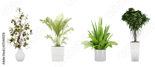 Plants in a pot on transparent background, set of 3d interior & exterior design, 3d render illustration.