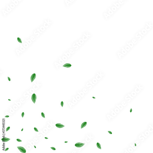 Greenish Sheet Background White Vector. Leaf Garden Illustration. Template Frame. Green Concept Texture. Foliage Silhouette.