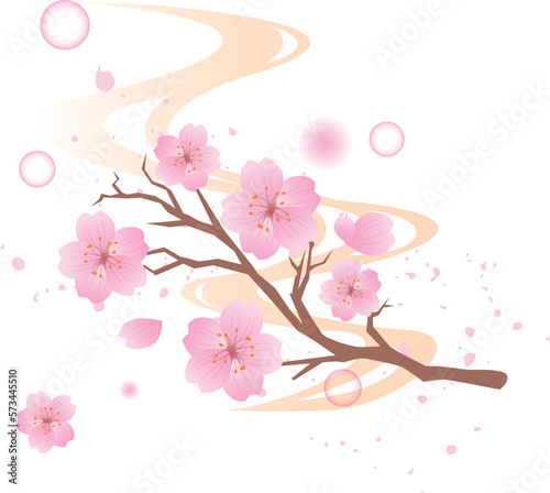 春 桜 背景